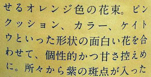 日語(yǔ)翻譯公司挑選注意事項介紹
