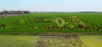 g˾,Ϸʷg˾,Ϸʷg˾r(ji),Ϸʷg˾ļҺ,Yg˾,(zhun)I(y)g˾,xg˾,g˾