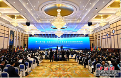 安徽譯博翻譯咨詢(xún)服務(wù)有限公司 助力第一屆中非經(jīng)貿博覽會(huì )