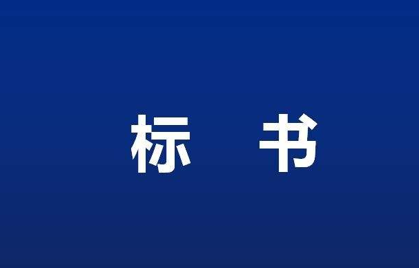 【合肥專(zhuān)業(yè)翻譯公司】標書(shū)翻譯的要點(diǎn)和重要性